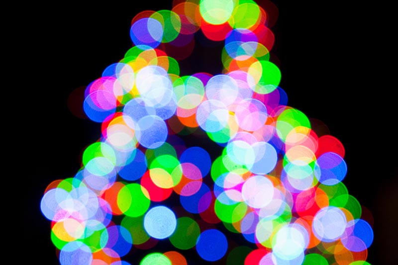 Christmas tree lights switch on